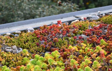 the cost of Collier Street green roof installation