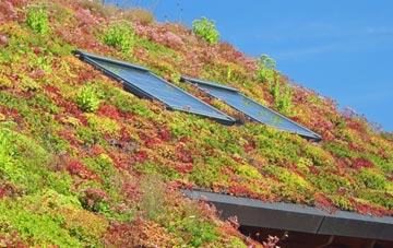Collier Street living roof systems