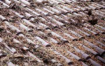 Collier Street roof cleaning companies